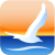  windsea iphone