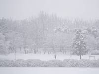 Meteo: Neve in arrivo, cadrà fin quasi in Pianura. Le zone coinvolte nei Prossimi Giorni