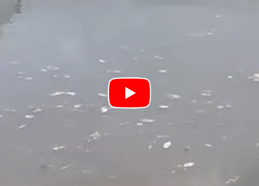 Meteo: Nubifragio alle porte di Rovigo, Boara Polesine finisce sott'acqua, il video