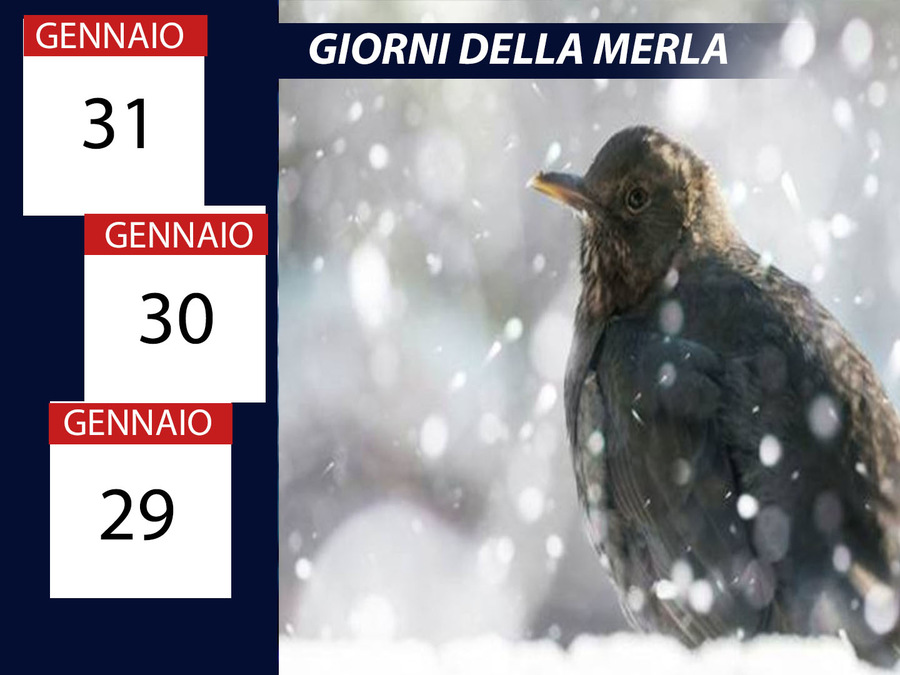 Meteo Giorni della Merla, per la tradizione i più gelidi dell'anno