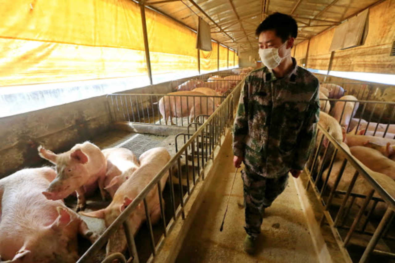 Nuovo virus Cina