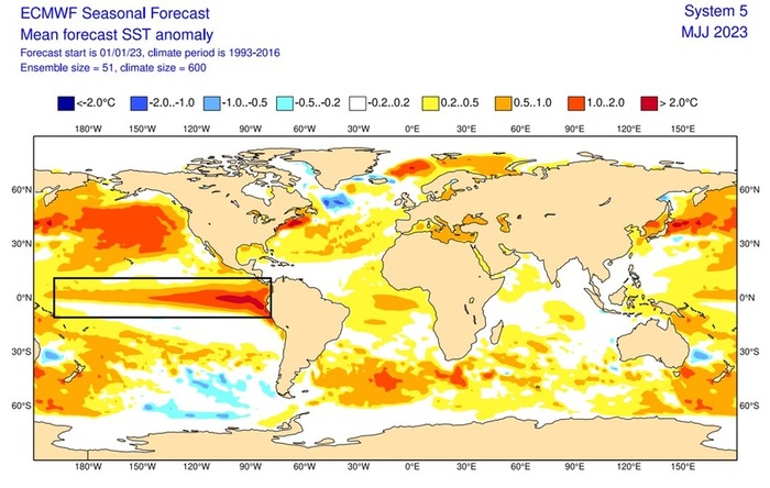 Anomalia di temperatura prevista per il mese di Giugno (fonte: ECMWF)