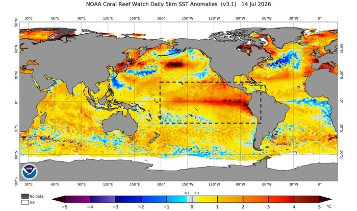 La previsione aggiornata su El Niño per i prossimi mesi