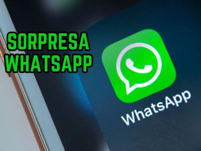 Sorpresa WhatsApp: c'è un cestino nascosto! Sorpresa WhatsApp: c'è un cestino nascosto!
