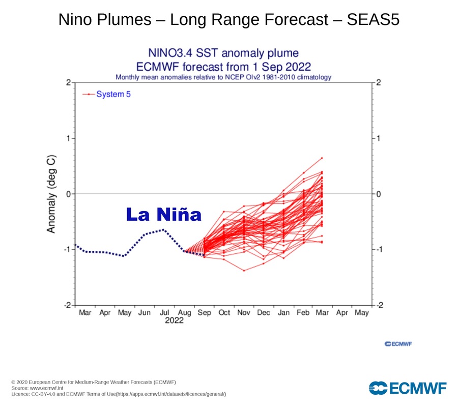 La Niña confirmada en los próximos meses de invierno (Fuente: ECMWF)