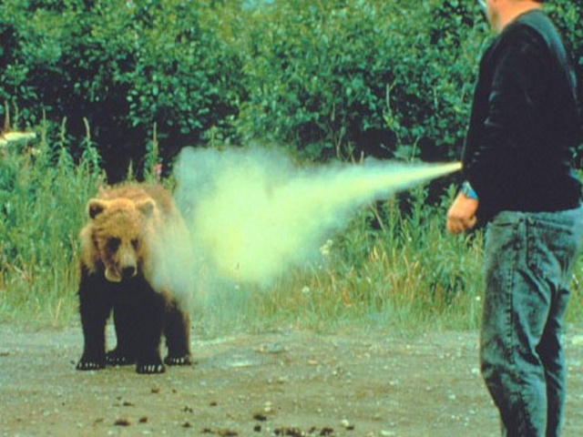 Disegno di legge per legalizzare lo spray anti-orso: Non è nocivo
