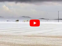 Leggi la notizia extra 5