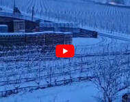 Leggi la notizia extra 2