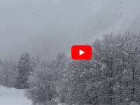 Leggi la notizia extra 1