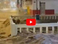 Brasile, Jacobina sommersa dal fango: alluvione...