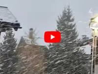 Livigno sotto una meravigliosa nevicata:...