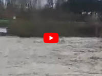 Leggi la notizia extra 1