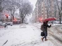 19/01/2026 - Neve, è pronta a tornare: fiocchi a tratti anche in pianura, ecco dove