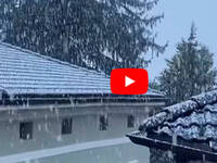 Leggi la notizia extra 4