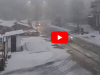 Leggi la notizia extra 2