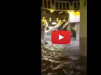 Leggi la notizia extra 7