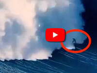 Leggi la notizia extra 8