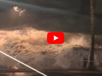 Leggi la notizia extra 2