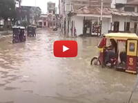 Leggi la notizia extra 1