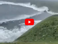Tsunami in Kamcatka: onde di 6 metri si abbattono con violenza, cane salvo per miracolo, video
