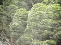 Meteo: Venti forti, tra poco arriva una burrasca....