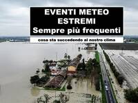 immagine notizia