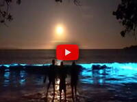 Leggi la notizia extra 3