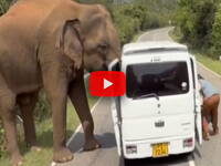 Leggi la notizia extra 7