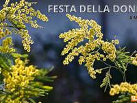 Meteo: Festa della Donna, l'Alta Pressione chiude la porta al Freddo russo