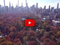 Leggi la notizia extra 2