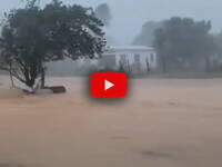 Leggi la notizia extra 3