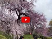 Leggi la notizia extra 2