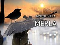 Meteo: Giorni della Merla alla rovescia. Niente Freddo e più Sole, ma ecco dove servirà l'ombrello