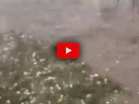 Leggi la notizia extra 1