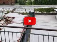 Meteo Diretta: Padova, forte temporale con grandine colpisce Montagnana, il Video