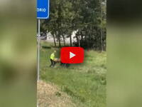 Incidente shock sull'autostrada A32: auto contromano provoca un morto e feriti, il Video