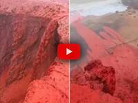 Leggi la notizia extra 6