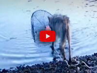 Leggi la notizia extra 7