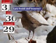 Meteo: arrivano i Giorni della Merla, la tradizione si conferma? Freddo e neve a fine Gennaio