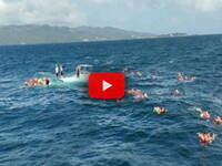 Leggi la notizia extra 8