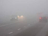 Nebbia fitta in arrivo: notti critiche e aria...