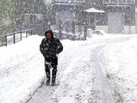 Meteo: Neve, sta per cadere fino a quote molto...
