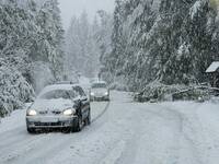 Meteo: Neve, fiocchi in città e accumuli fino a...