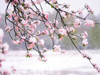 Meteo Europa: a Fine Aprile atteso un colpo di coda invernale con Gelo e Neve, Italia solo lambita