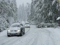 Meteo Neve: in arrivo coltre bianca copiosa fino a quote molto basse. I dettagli per Alpi e Pianura