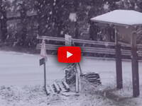 Leggi la notizia extra 4