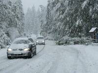 Meteo: Neve, nuovo carico in arrivo fino a quote...