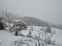 Meteo: Neve in arrivo fino a 600 metri in...