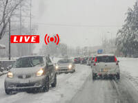 Meteo: Neve, cadrà ancora Abbondante e presto anche in Pianura. Vediamo dove e quando