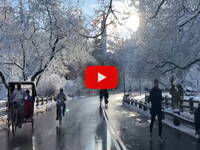 New York sotto la neve: Central Park si trasforma...